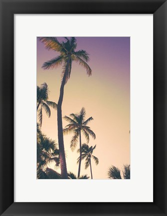 Framed Evening Palms Print