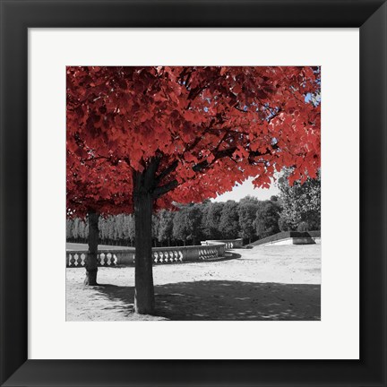 Framed Garden Walk Print