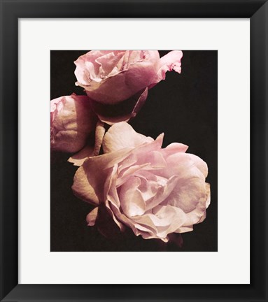 Framed Solitary Bouquet II Print