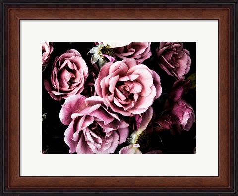 Framed Baroque Roses Print