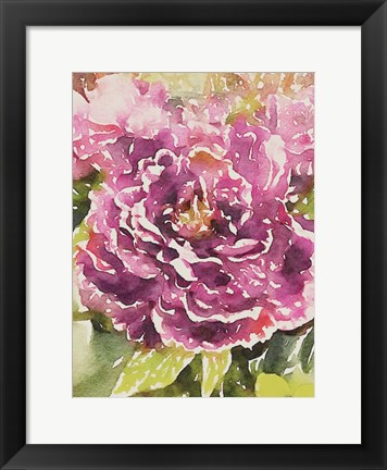 Framed Purple Blossoms Print