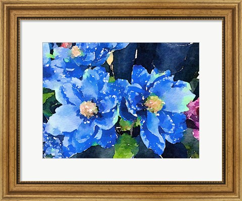 Framed Popping Blues Print