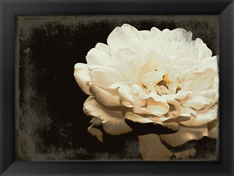 Framed Blooming Elegance Print