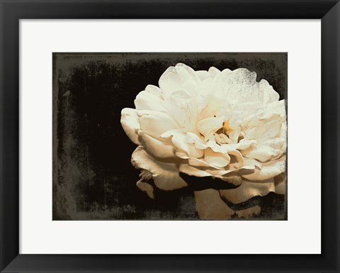 Framed Blooming Elegance Print