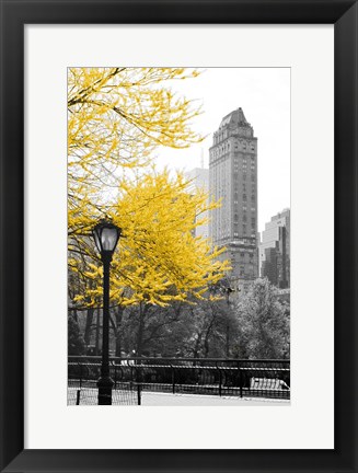 Framed Central Park with Yellow Tree Print