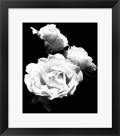 Framed Dramatic Love Blooms  I Print