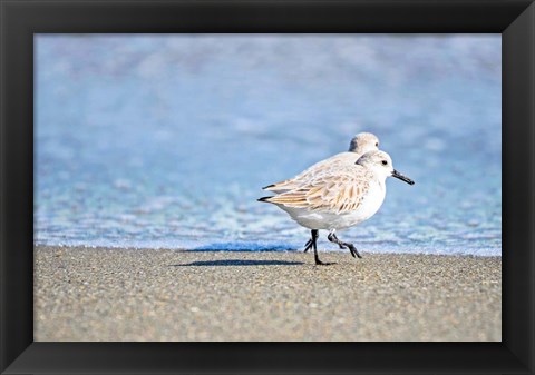 Framed Walk Along The Coast Print