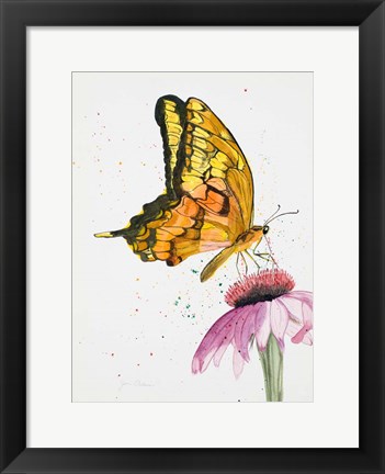 Framed Butterfly Nectar Print