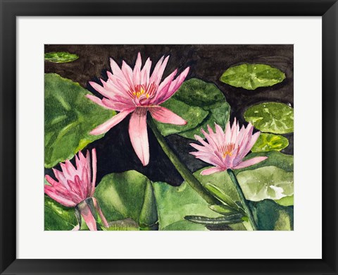 Framed Water Lillie&#39;s Print