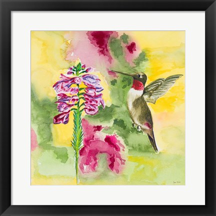 Framed Watercolor Hummingbird Print