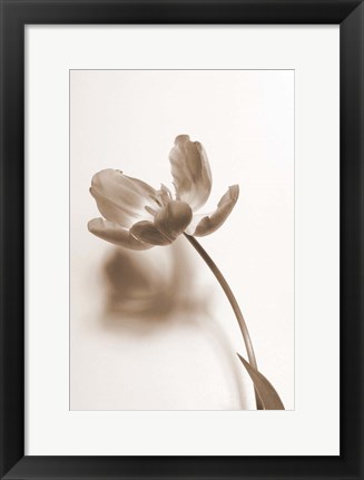 Framed Delicate Floral I Print