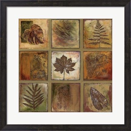 Framed Leaf Square I Print