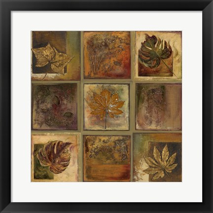 Framed Leaf Square II Print