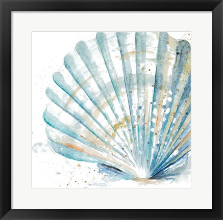 Framed Water Shell Print