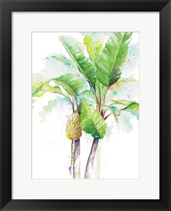 Framed Watercolor Banana Plantain Print