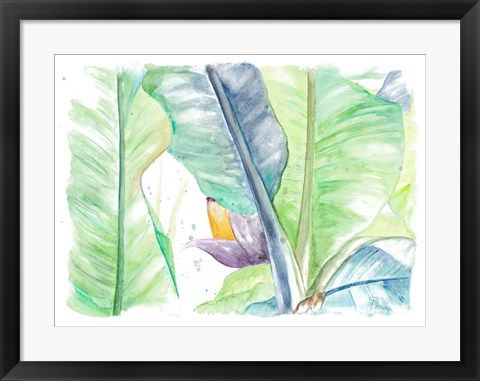 Framed Fresh Banana Plantain Print