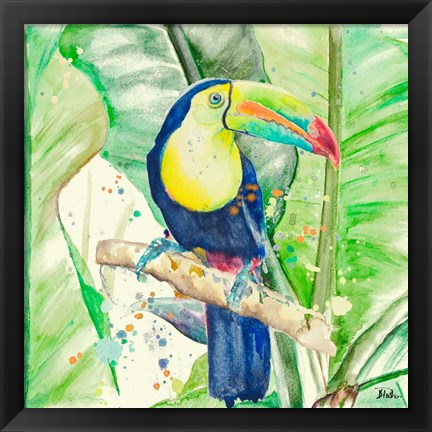 Framed Colorful Toucan Print