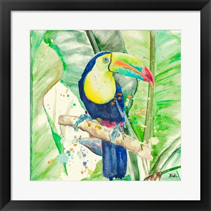 Framed Colorful Toucan Print