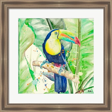 Framed Colorful Toucan Print