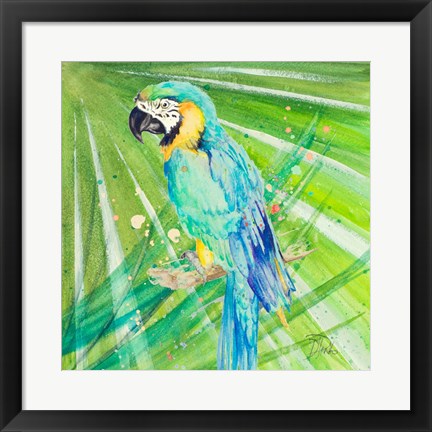 Framed Colorful Parrot Print