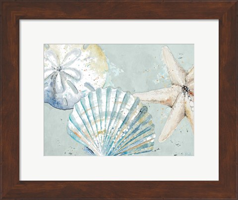 Framed Beach Shells Print