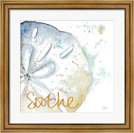 Framed Soothe Water Sand Dollar Print