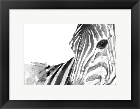 Framed Zebra Gaze Print