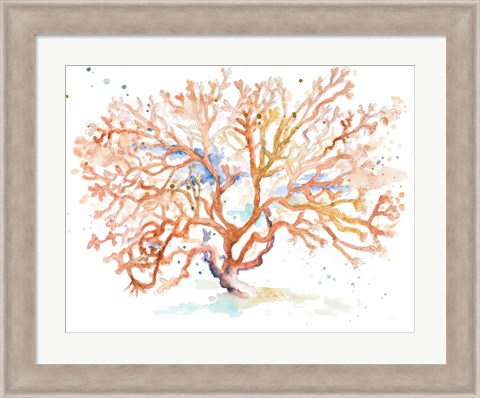 Framed Peach Coral Print