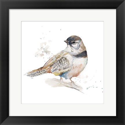 Framed Watercolor Mountain Bird III Print