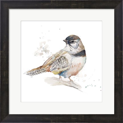 Framed Watercolor Mountain Bird III Print