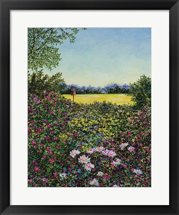 Framed Along The Meadows Edge Print