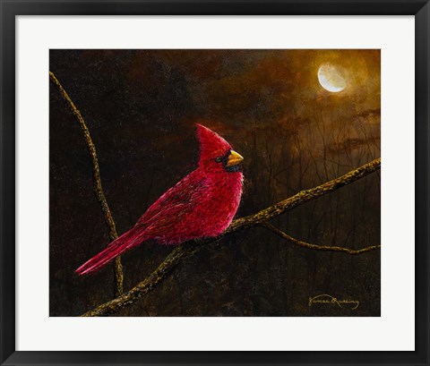 Framed Cardinal In The Moonlight Print