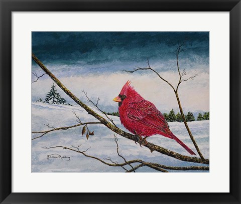 Framed Cardinal In A Pastel Sky Print