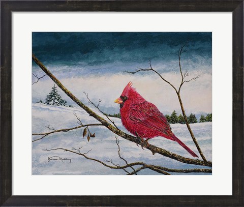Framed Cardinal In A Pastel Sky Print