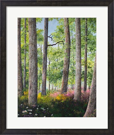 Framed Enchanted Forest Print