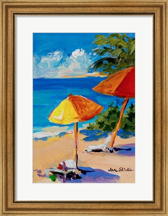 Framed Caribbean Coast Print