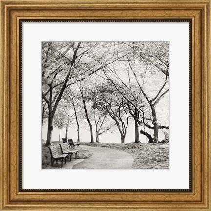 Framed Virginia Park Walk Print