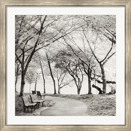 Framed Virginia Park Walk Print