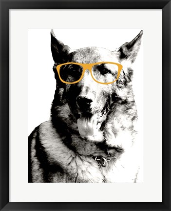 Framed Cool Dog Print