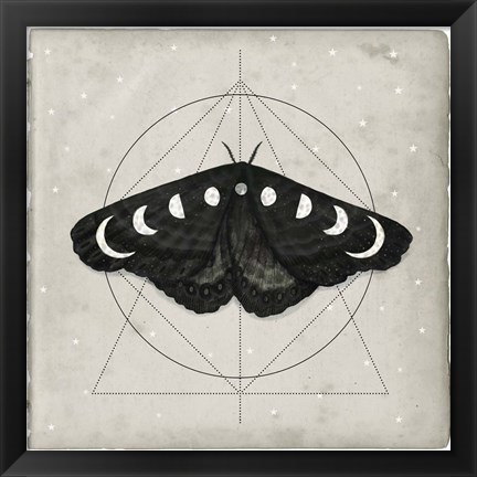 Framed Midnight Moth I Print