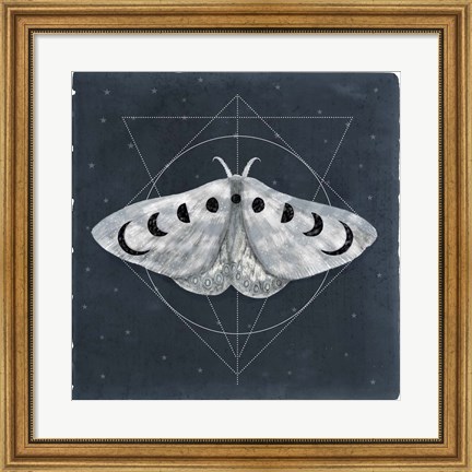 Framed Midnight Moth II Print