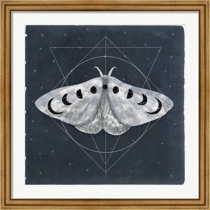 Framed Midnight Moth II Print