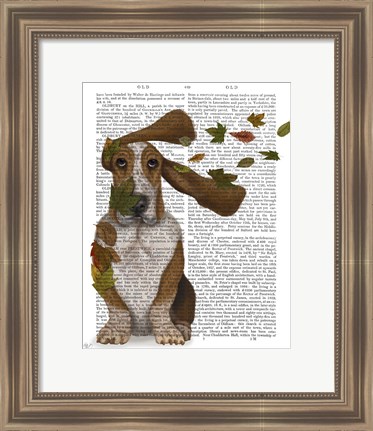 Framed Basset Hound Windswept and Interesting Print