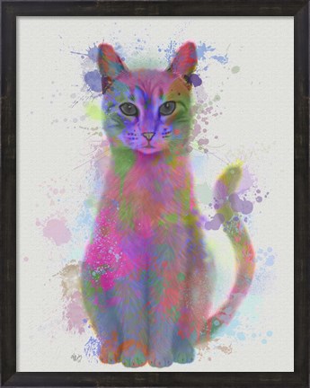 Framed Cat Rainbow Splash 4 Print