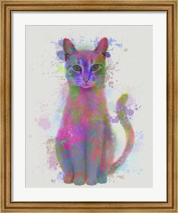 Framed Cat Rainbow Splash 4 Print