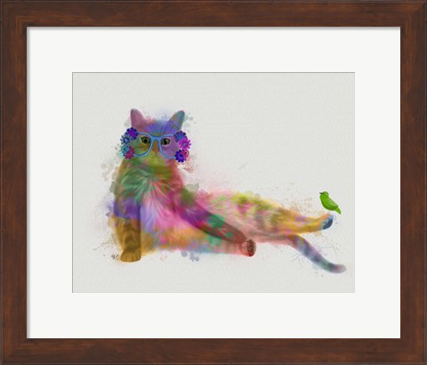 Framed Cat Rainbow Splash 10 Print