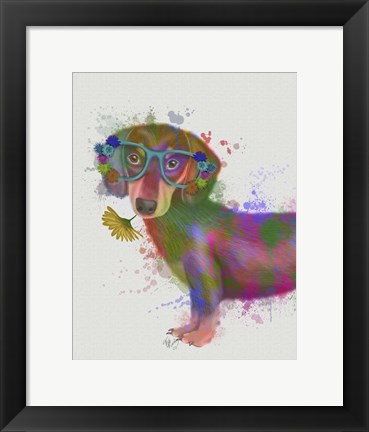 Framed Dachshund And Glasses Rainbow Splash Print