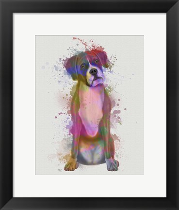 Framed Boxer 1 Full Rainbow Splash Print