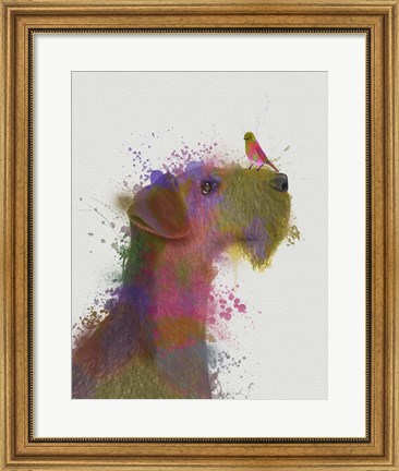 Framed Airdale and Canary Rainbow Splash Print