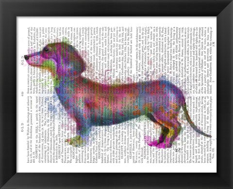 Framed Dachshund Rainbow Splash 1 Print